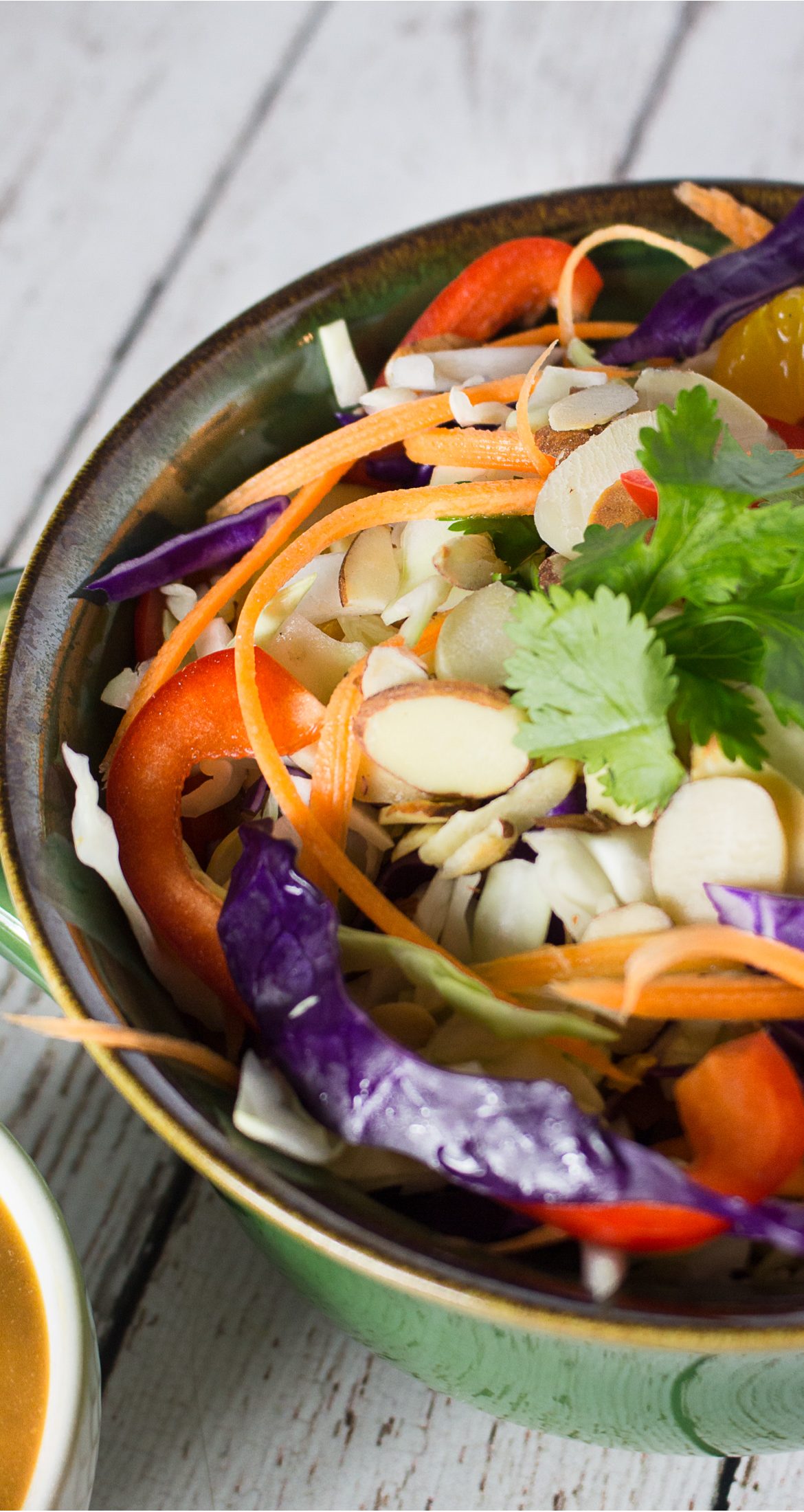 Receta de Ensalada Oriental con Aderezo de Maní.