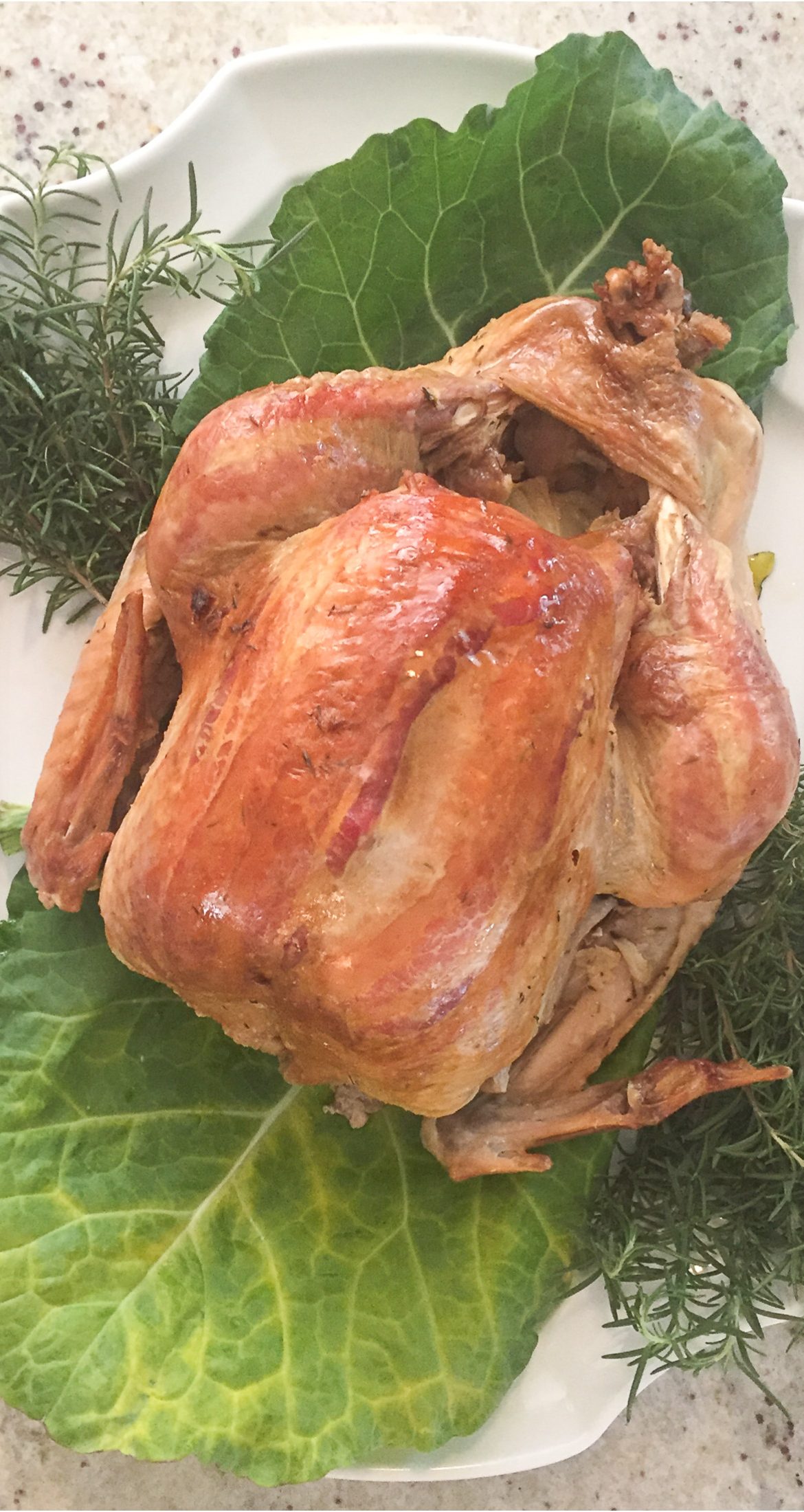 Como hacer pavo al horno en bolsa de hornear.