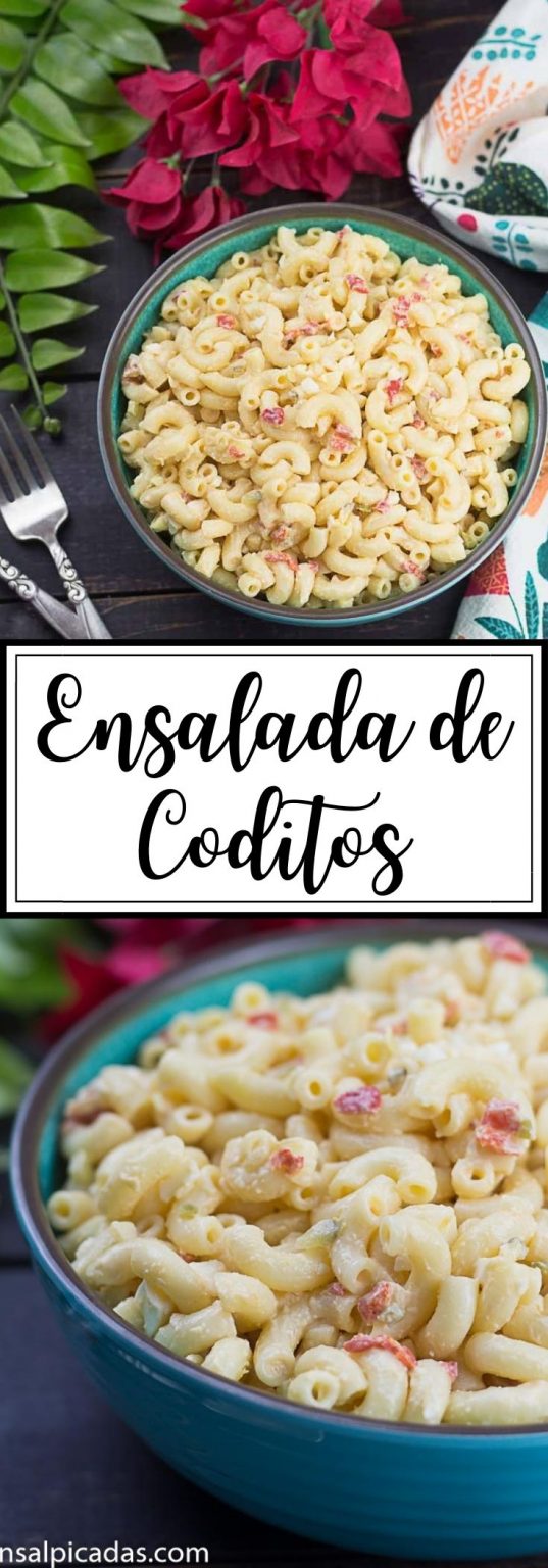 Ensalada de Coditos – ENSALPICADAS